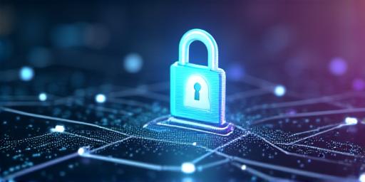 Digital Privacy Protection